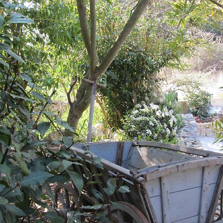 Les Rosees Mougins Kültér fotó