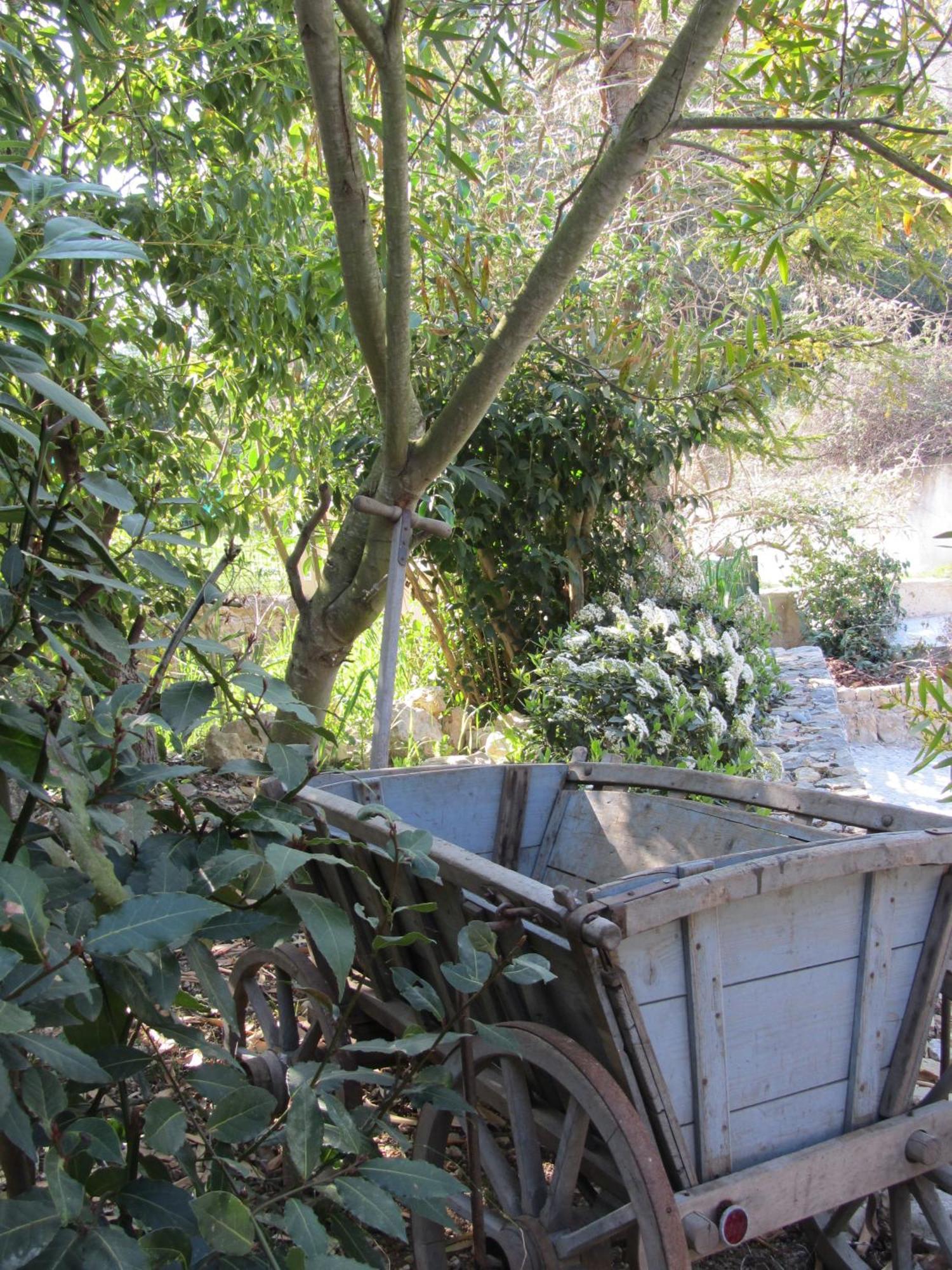 Les Rosees Mougins Kültér fotó